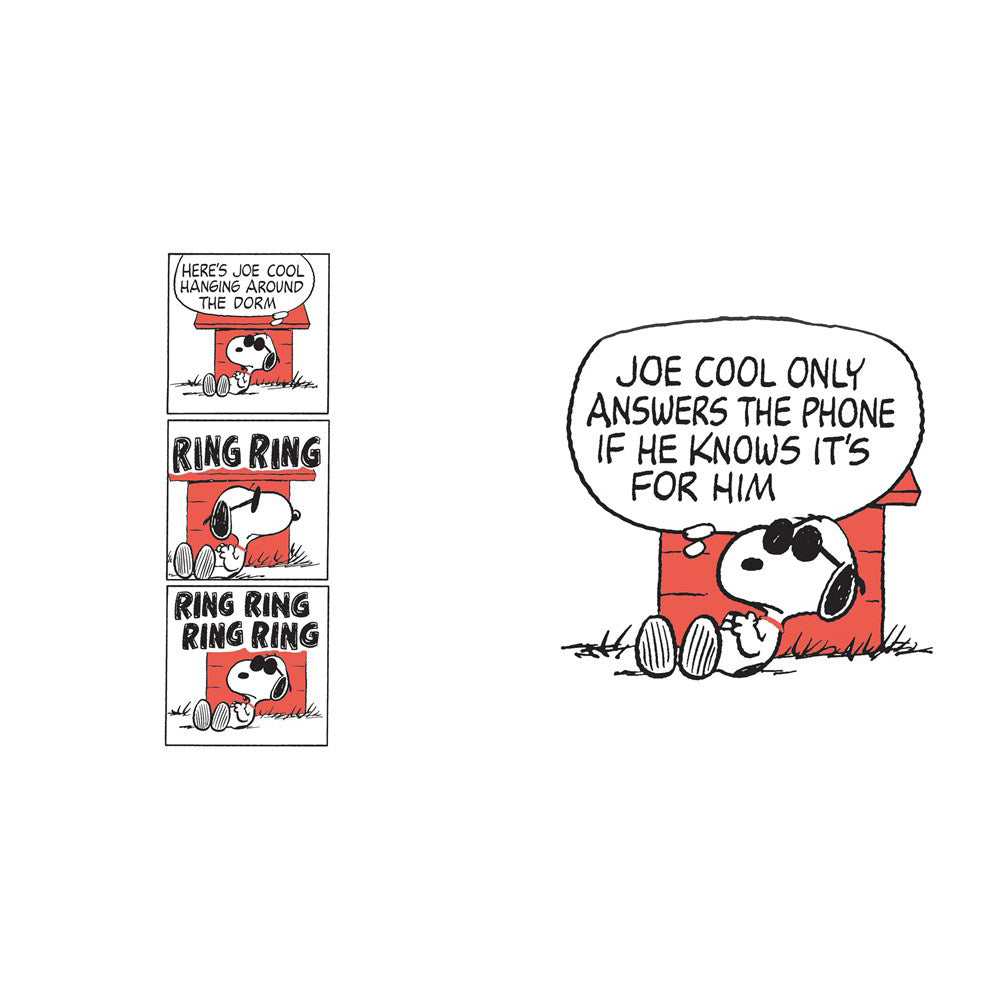 The Philosophy of Snoopy Book