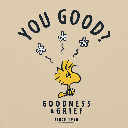 Peanuts Woodstock You Good? Hoodie Sand-1