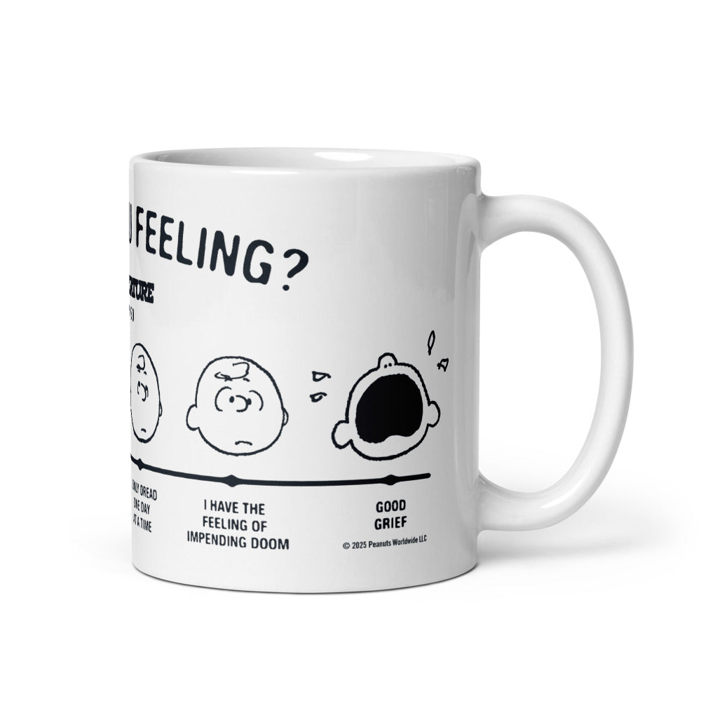 Peanuts Charlie Brown How Are You Feeling Mug