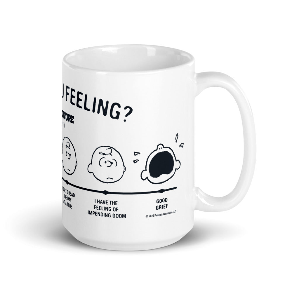 Peanuts Charlie Brown How Are You Feeling Mug