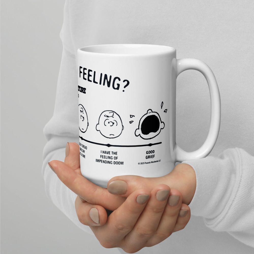 Peanuts Charlie Brown How Are You Feeling Mug