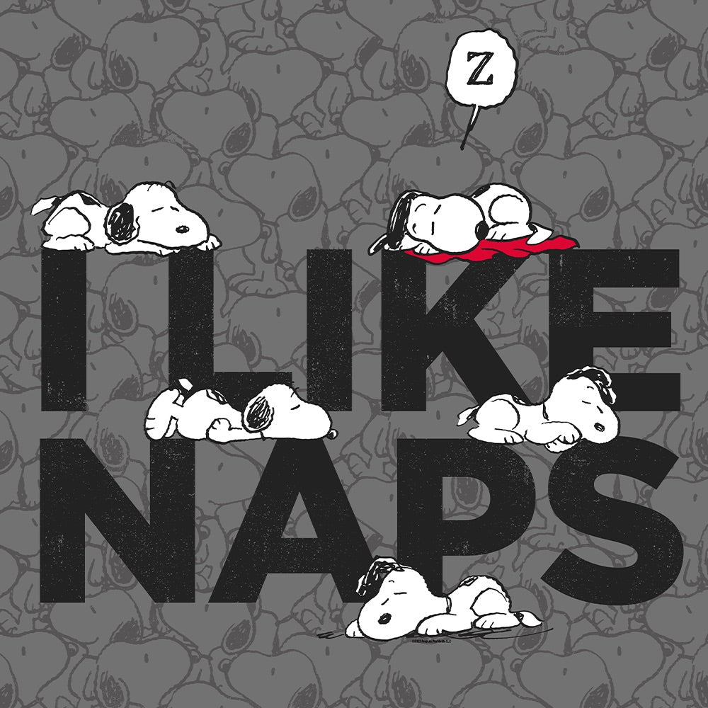 Snoopy I Like Naps Pet Bed