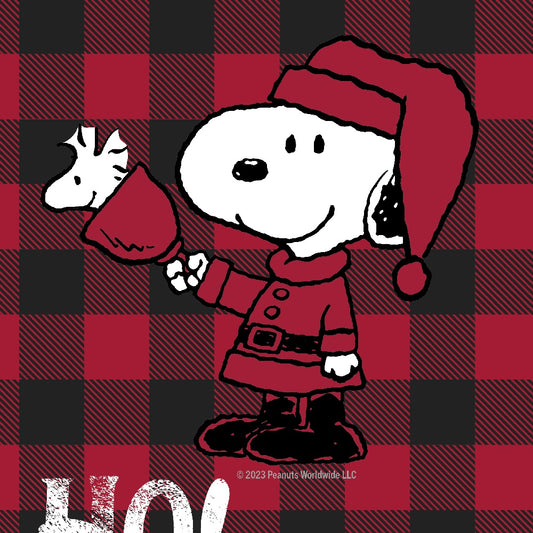 Snoopy & Woodstock Ho Ho Ho Stocking-1