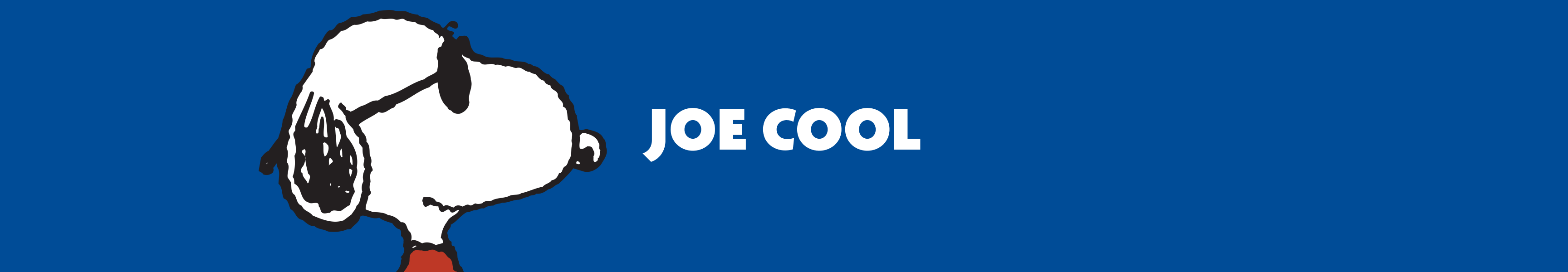 Joe Cool