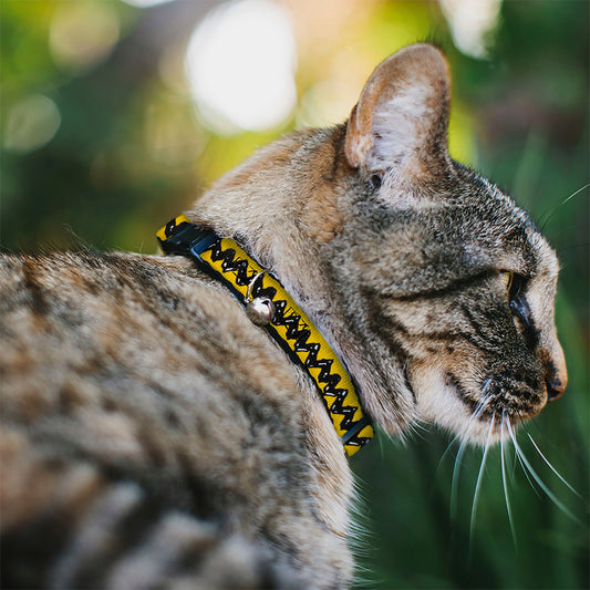 Charlie Brown Cat Collar - Yellow Zig Zag-1