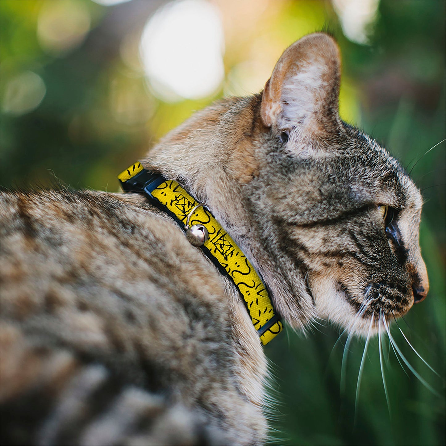 Official Woodstock Breakaway Cat Collar