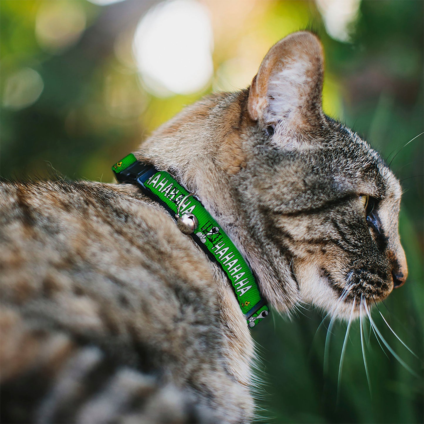 Breakaway Cat Collar with Bell - Snoopy & Woodstock Laughing HAHA Green | The Peanuts Store