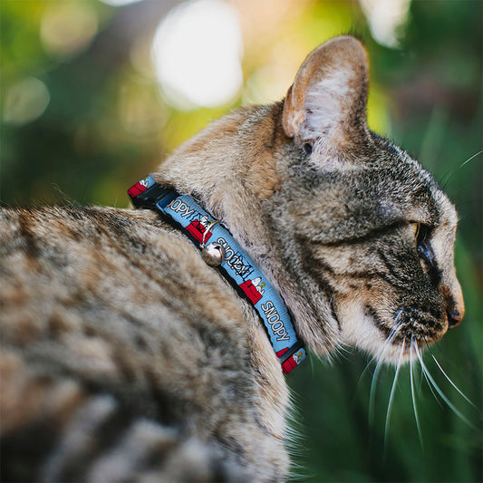 Snoopy & Woodstock Breakaway Cat Collar-1