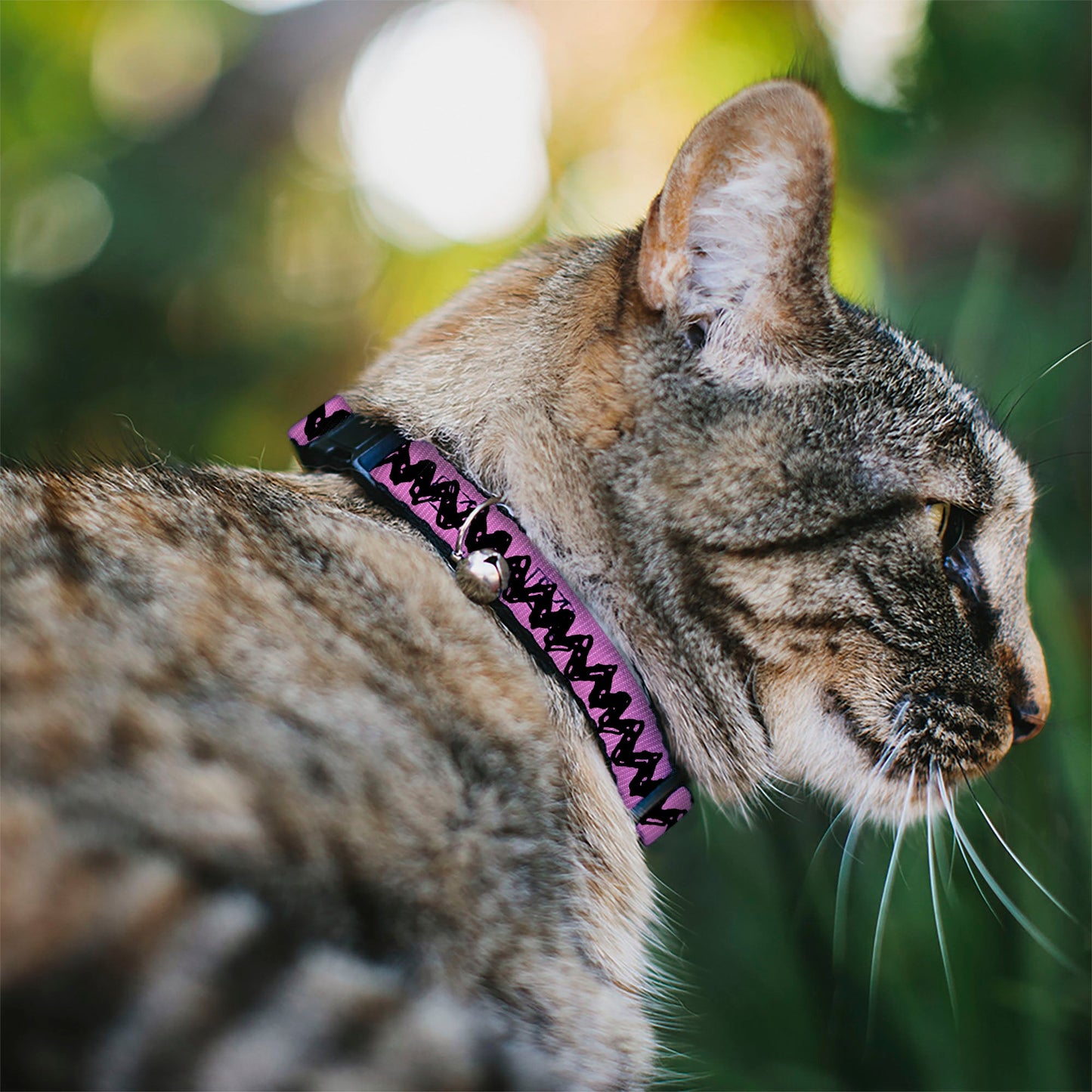 Peanuts Charlie Brown Breakaway Cat Collar with Bell