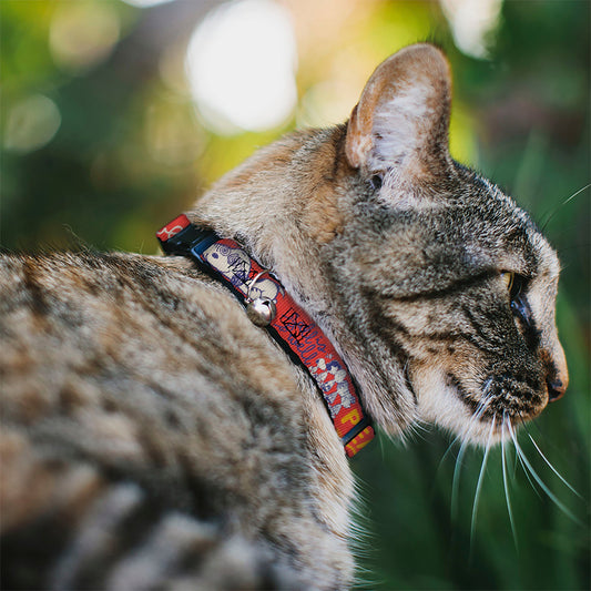 Breakaway Cat Collar - Peanuts Gang Quote | The Peanuts Store-1