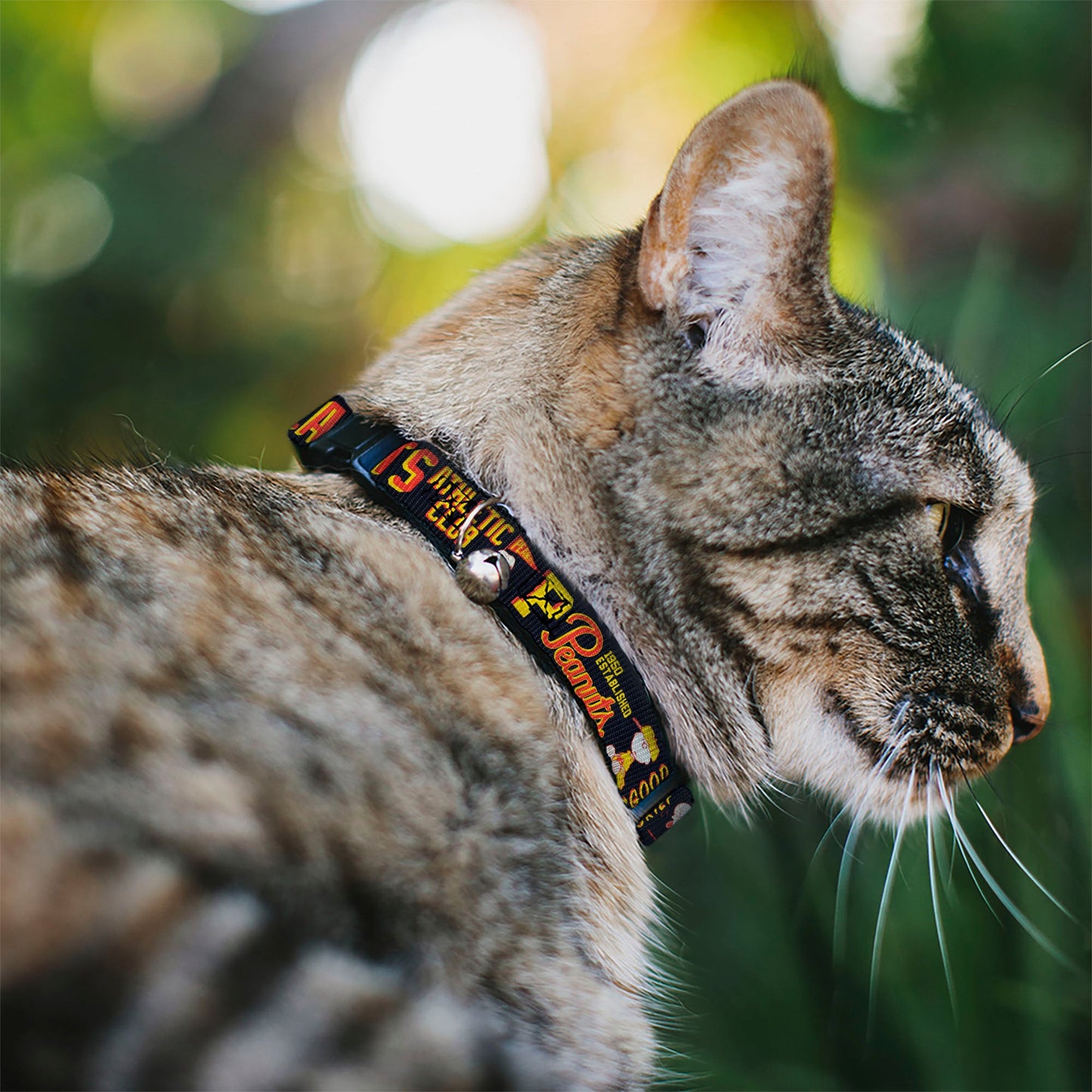 Breakaway Cat Collar with Bell - PEANUTS ATHLETIC CLUB Varsity Poses and Quotes Collage Black/Red/Yellow