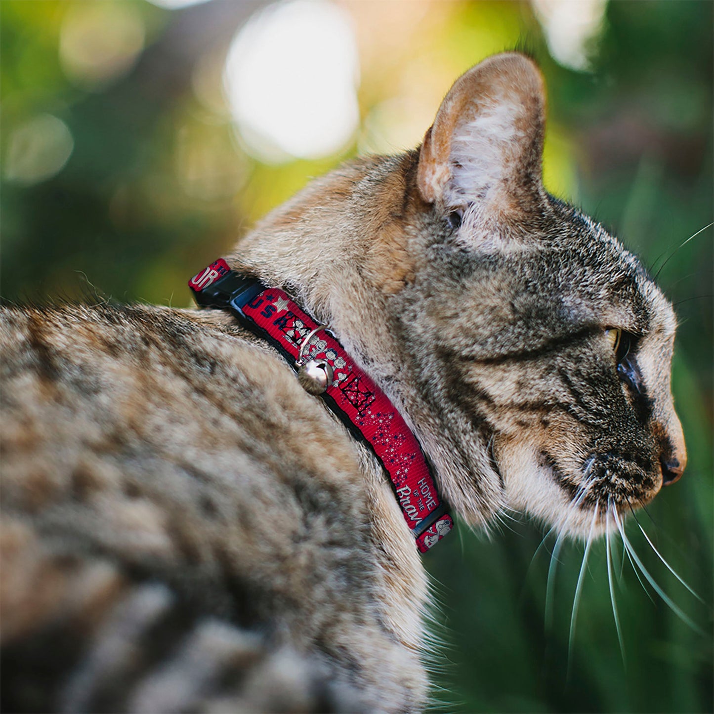 Peanuts American Summer Breakaway Cat Collar