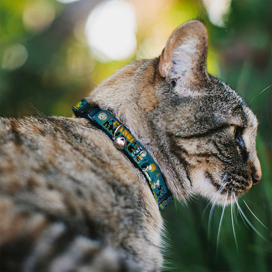 Breakaway Cat Collar with Bell - Peanuts Gang DANCE MUSIC Poses and Quotes Blue/Multi Color-1