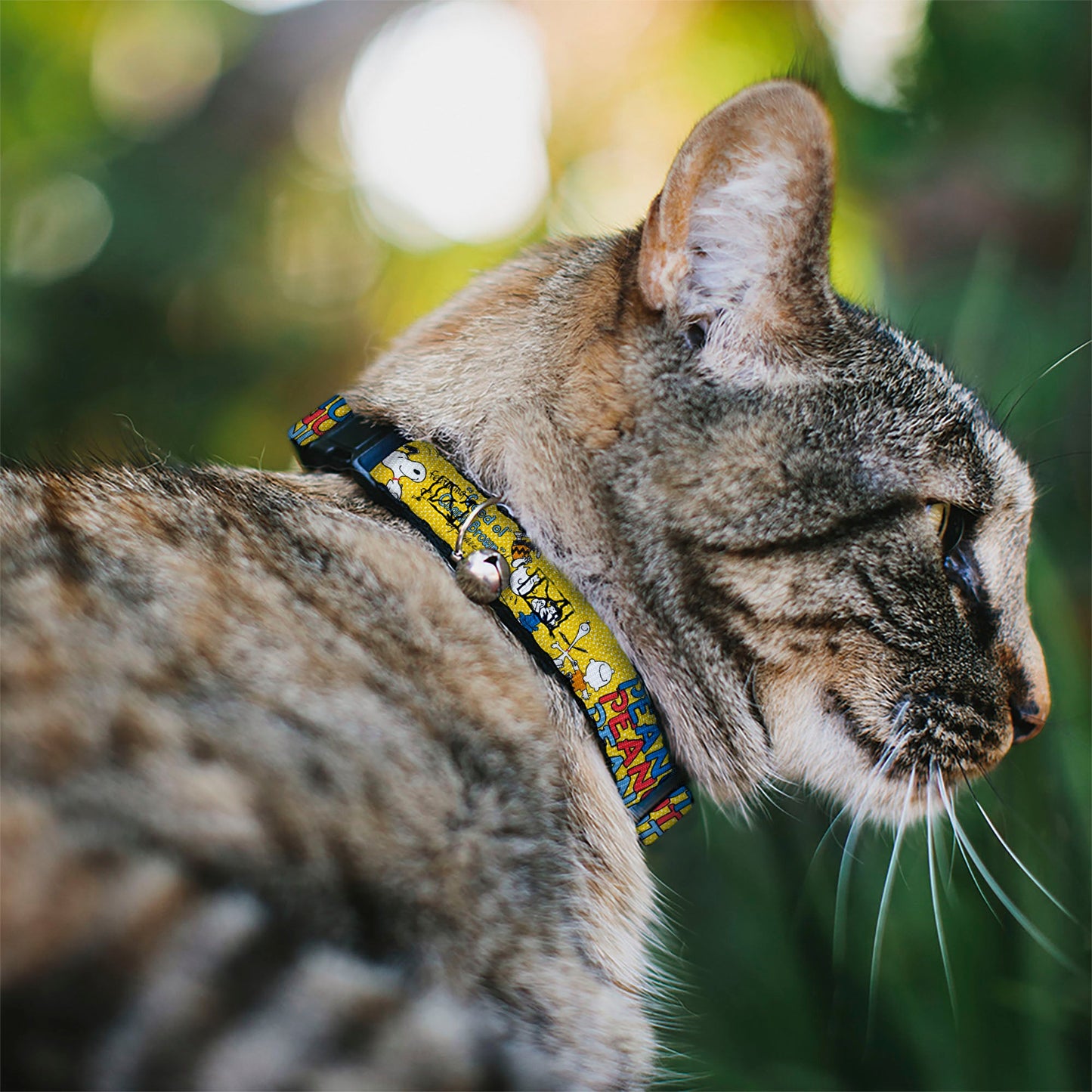 Peanuts Charlie Brown Breakaway Cat Collar with Bell