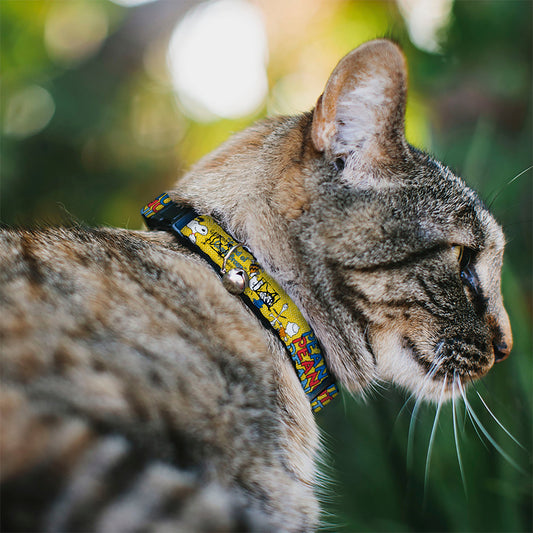 Peanuts Charlie Brown Breakaway Cat Collar with Bell-1