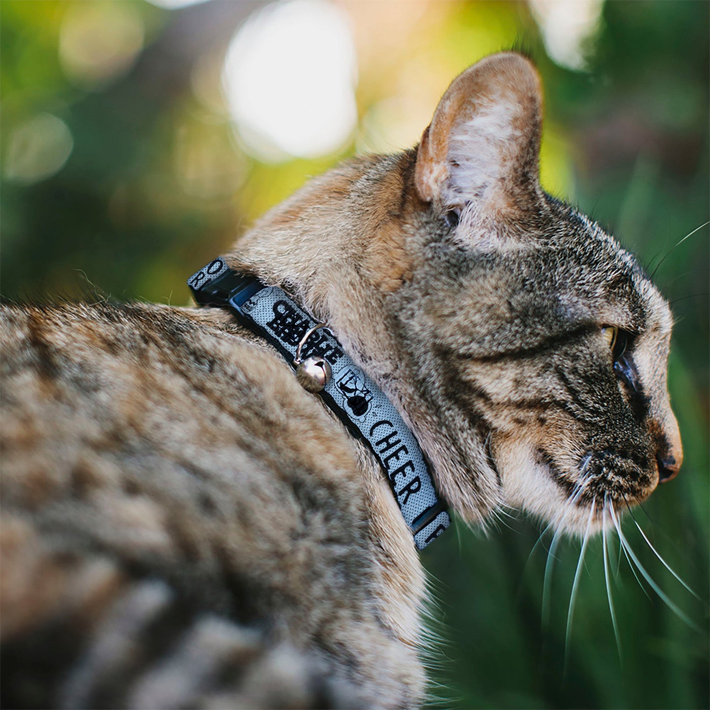 Charlie Brown Poses Breakaway Cat Collar with Bell