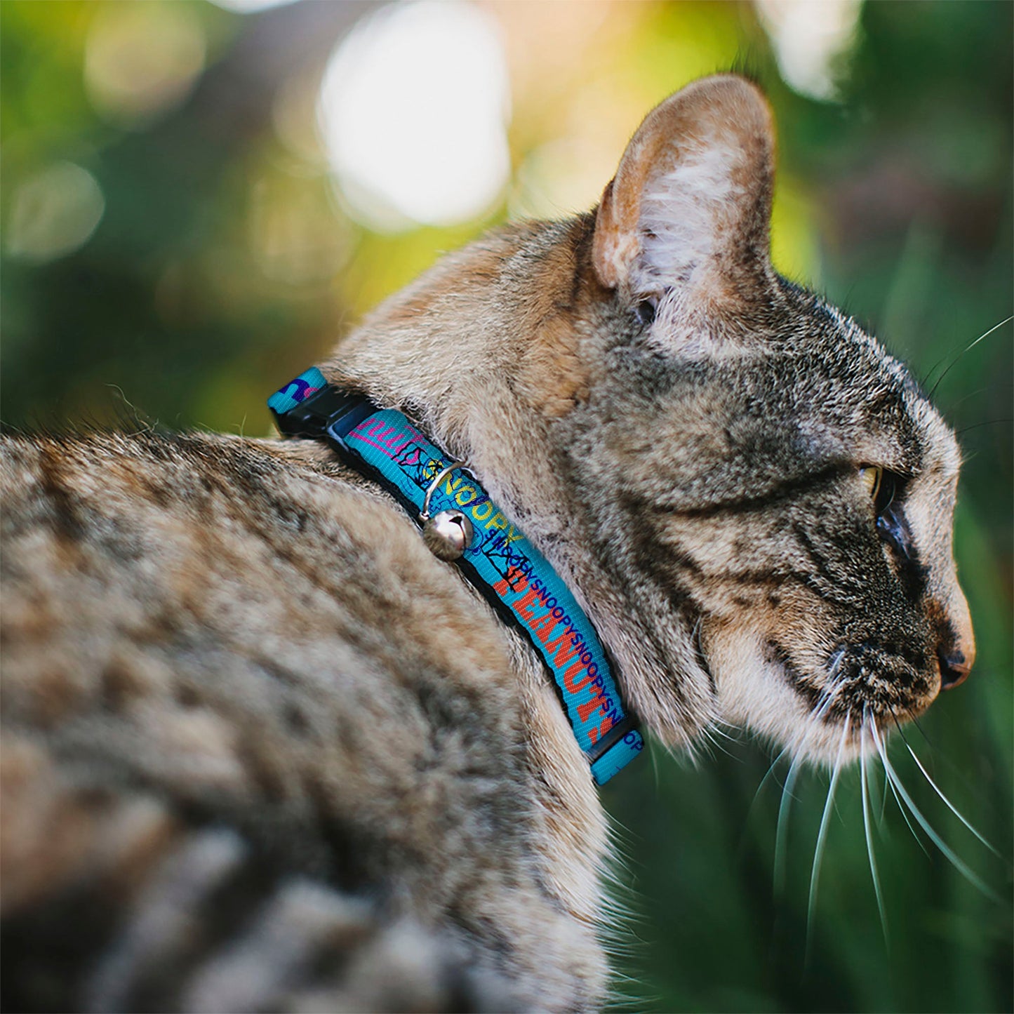 Breakaway Cat Collar with Bell - PEANUTS Charlie Brown Snoopy Typography
