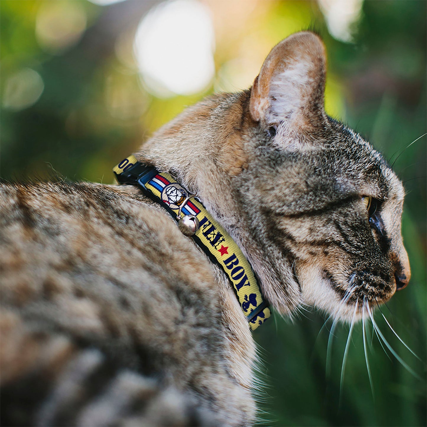 Peanuts Snoopy Flying Ace Breakaway Cat Collar