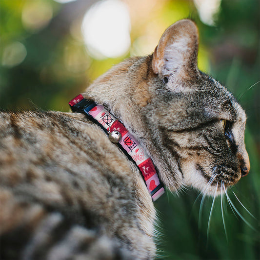 Snoopy Valentine's Day Breakaway Cat Collar with Bell-1