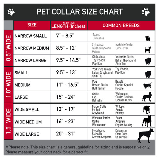 Plastic Clip Collar: Charlie Brown Zig Zag for Dogs from The Peanuts Store-7