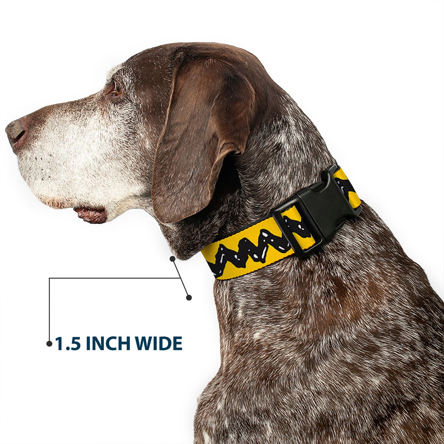 Plastic Clip Dog Collar: Charlie Brown Zig Zag | The Peanuts Store
