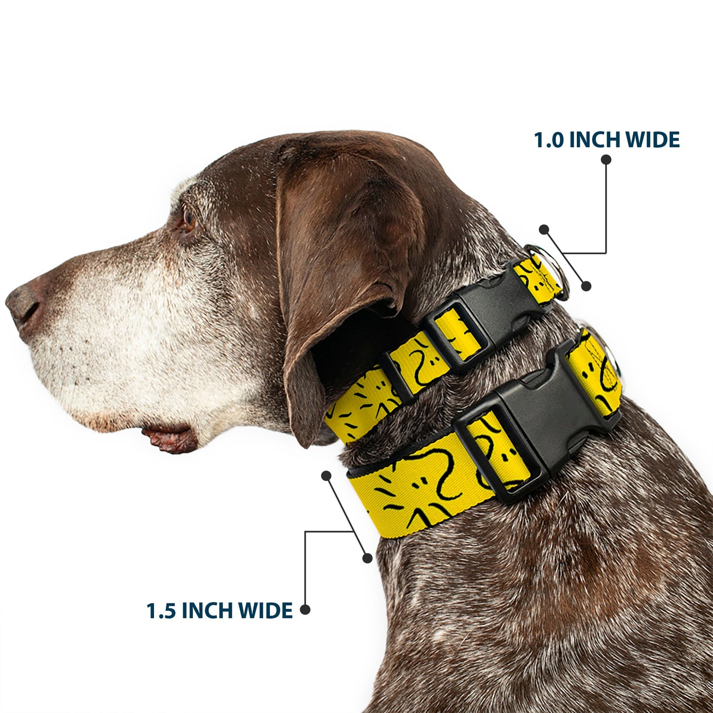 Peanuts Woodstock Line Art Dog Collar