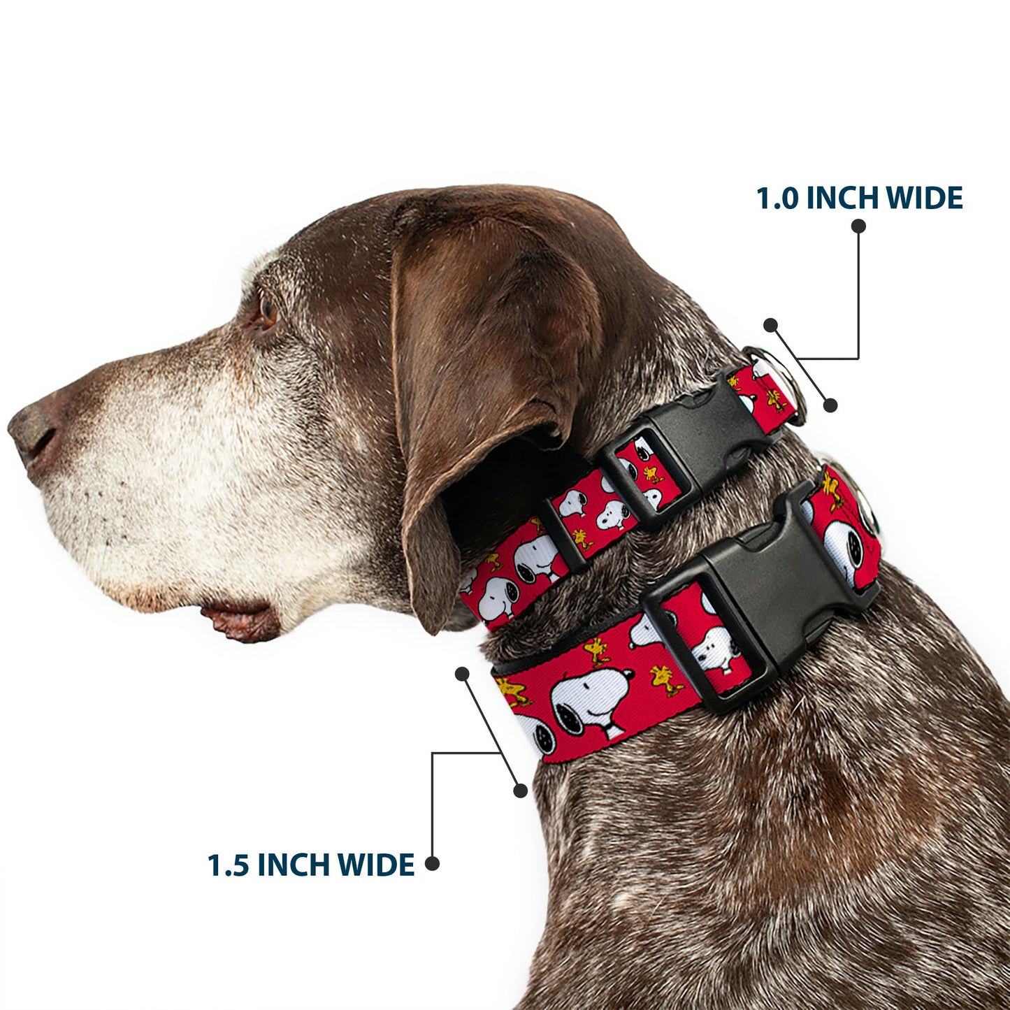 Peanuts Snoopy Woodstock Dog Collar - Red from The Peanuts Store