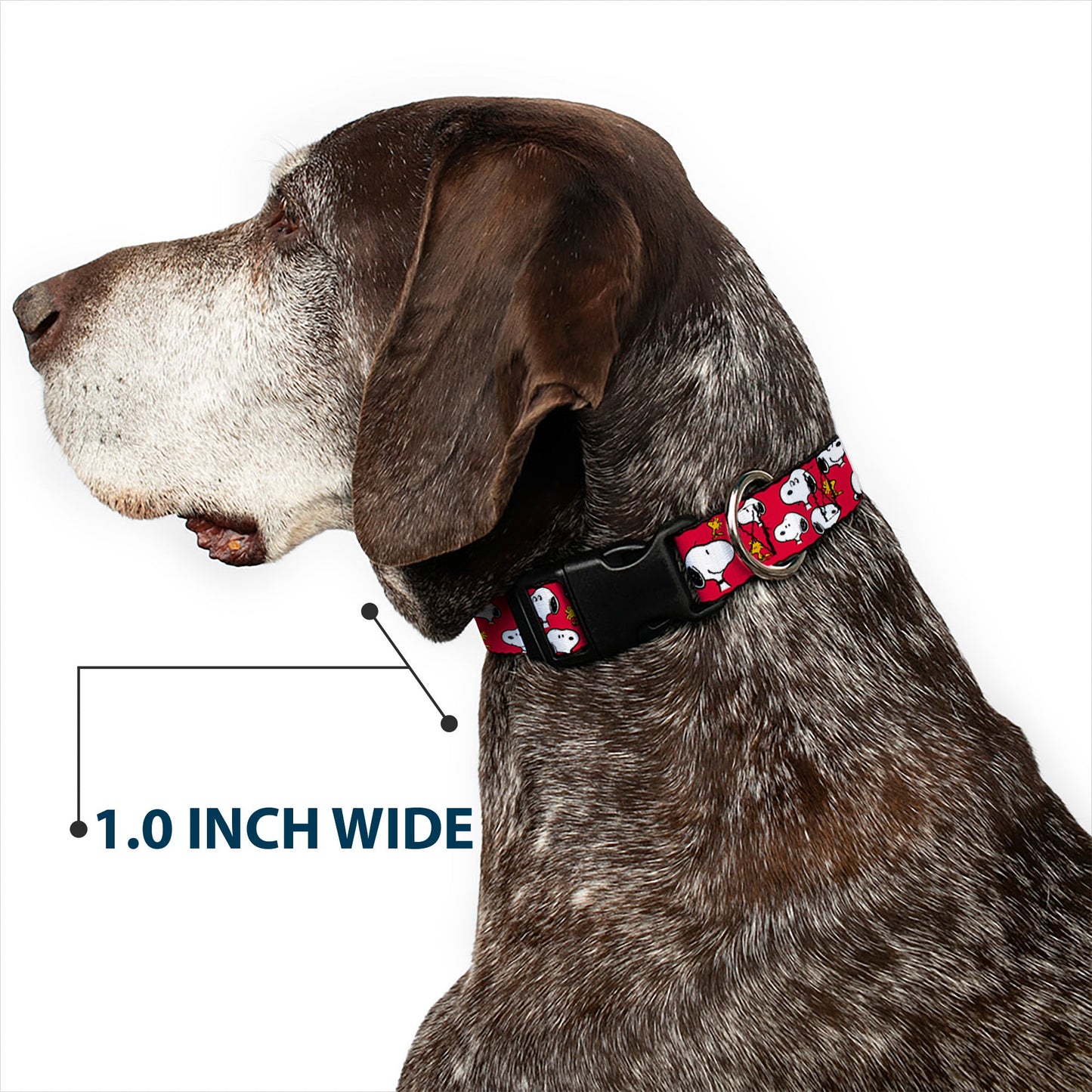 Peanuts Snoopy Woodstock Dog Collar - Red from The Peanuts Store