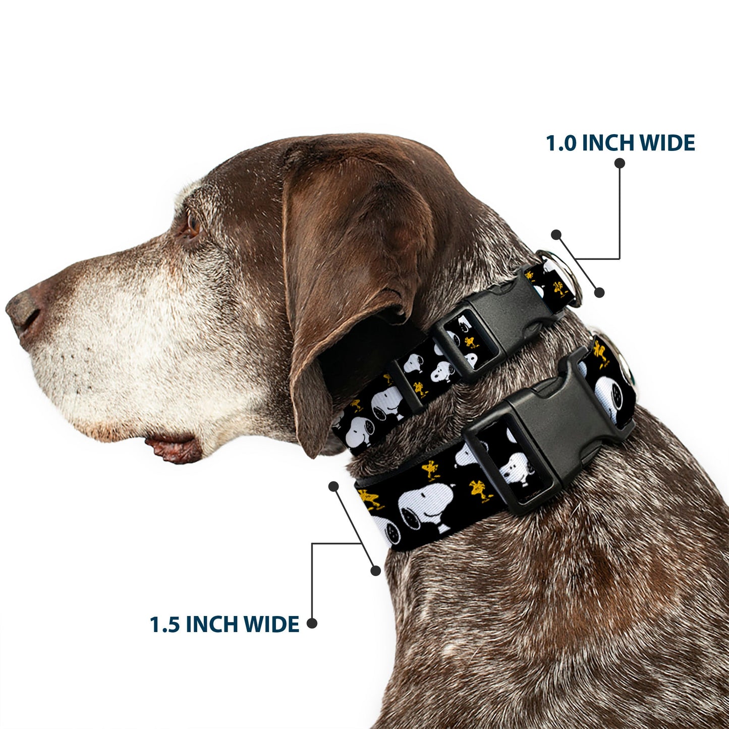 Peanuts Snoopy & Woodstock Poses Dog Collar