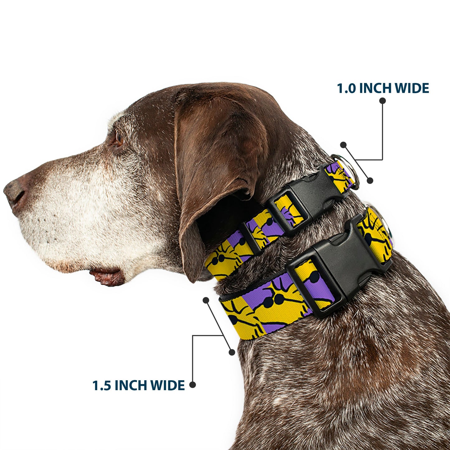Peanuts Woodstock Shades Dog Collar