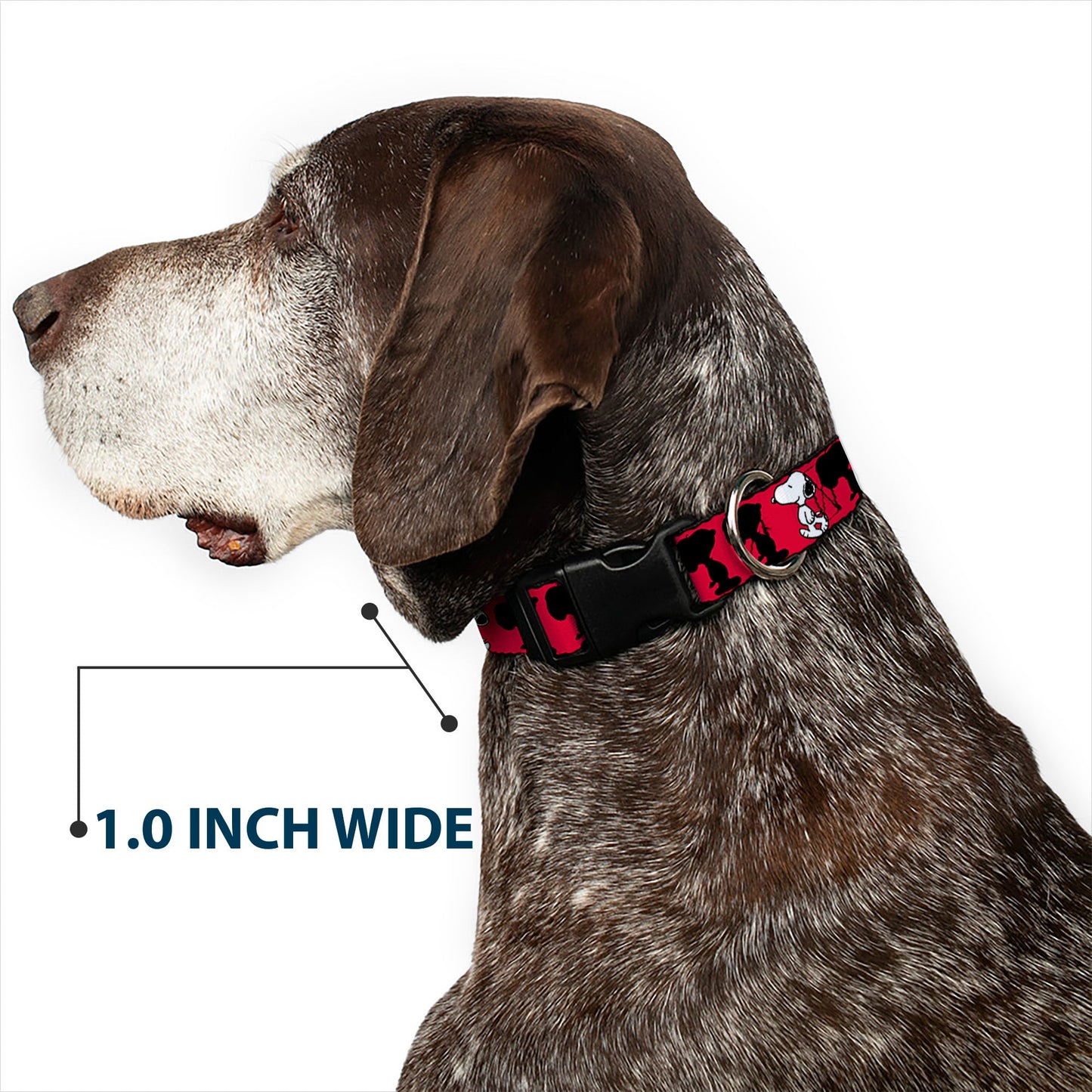 Snoopy Red, Black & White Dog Collar - The Peanuts Store