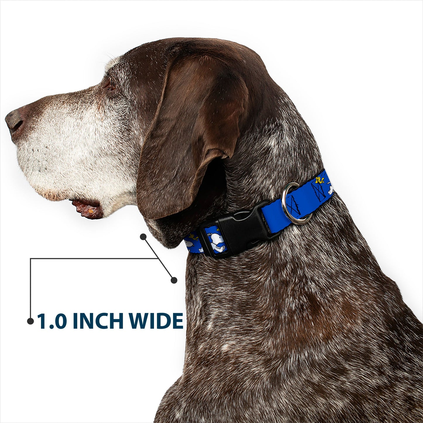 Plastic Clip Collar: Snoopy Running & Woodstock Pose | The Peanuts Store.