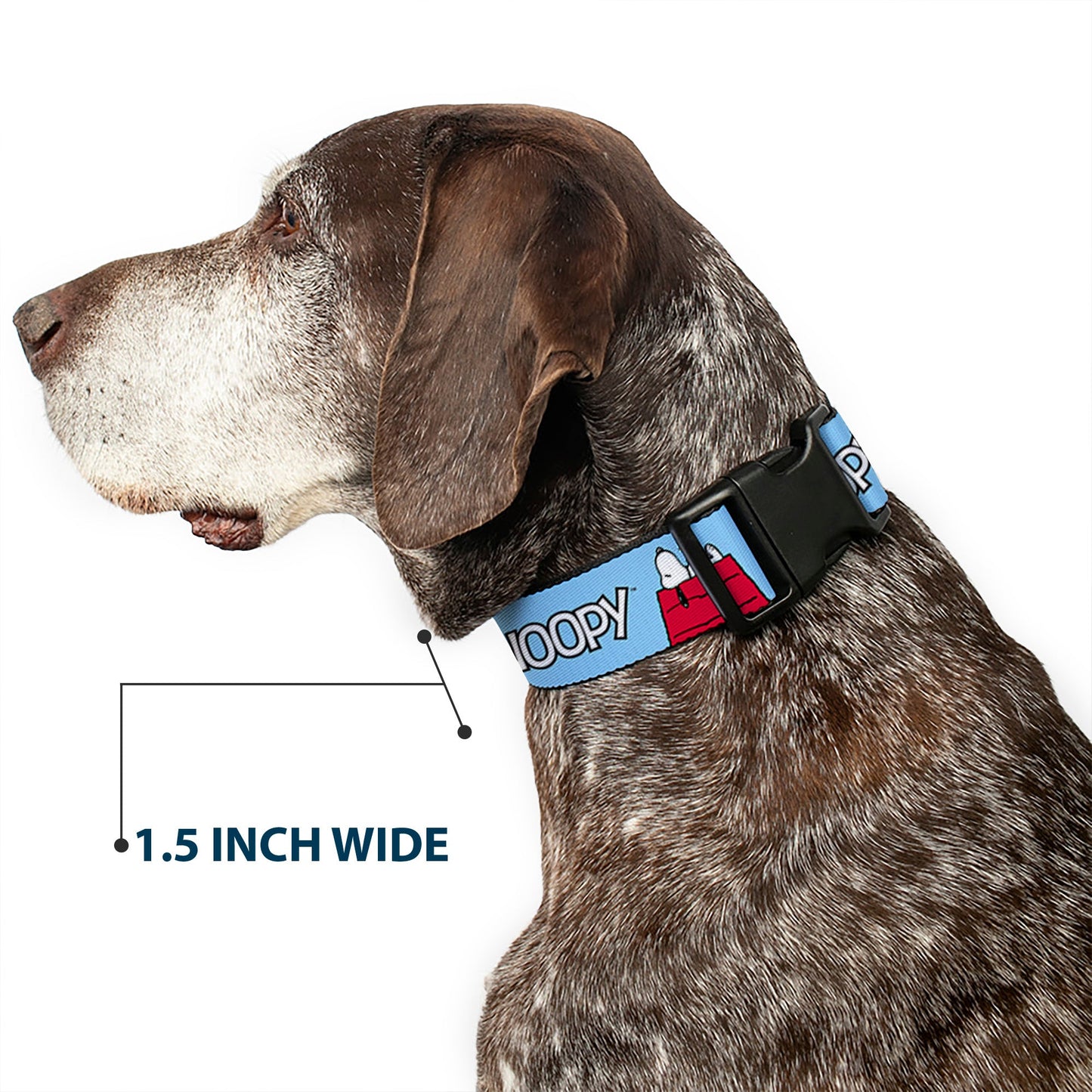 Peanuts Snoopy Woodstock Sky Blue Dog Collar