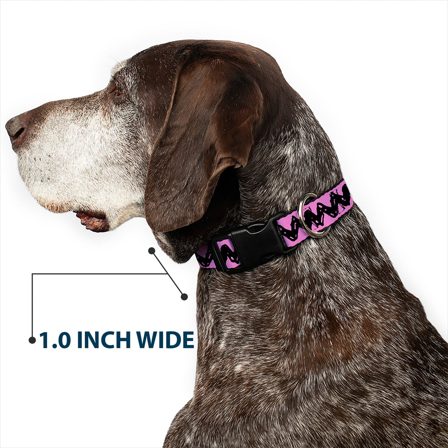 Plastic Clip Collar: Charlie Brown Zig Zag for Dogs from The Peanuts Store