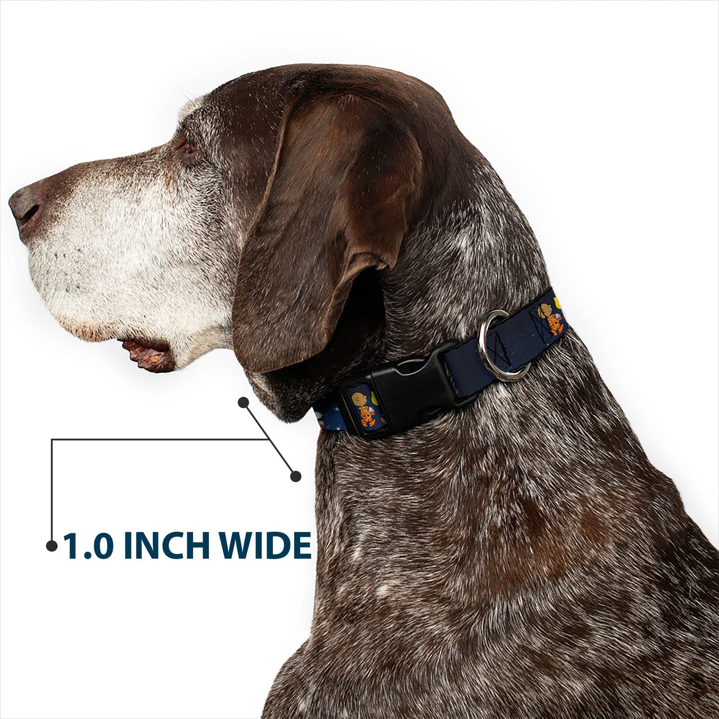 Peanuts Astronauts Space Walk Plastic Clip Dog Collar