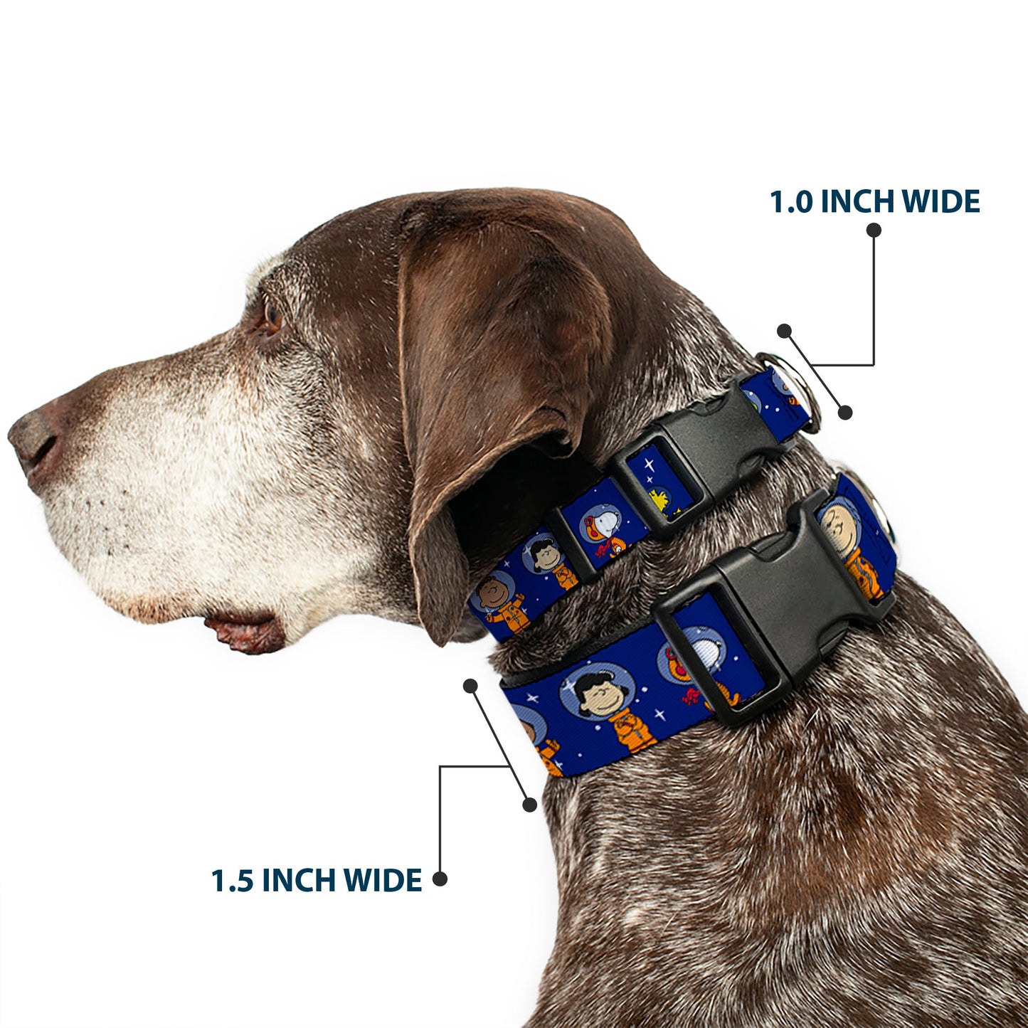 Peanuts Gang Astronauts Plastic Dog Collar - Blue/White