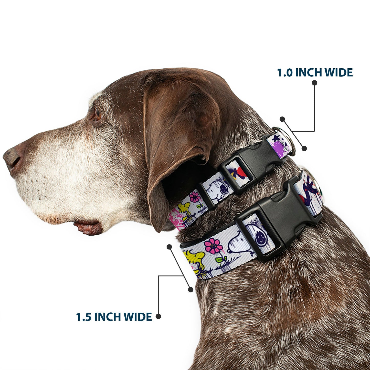 Plastic Clip Collar - Snoopy Woodstock Graffiti | The Peanuts Store