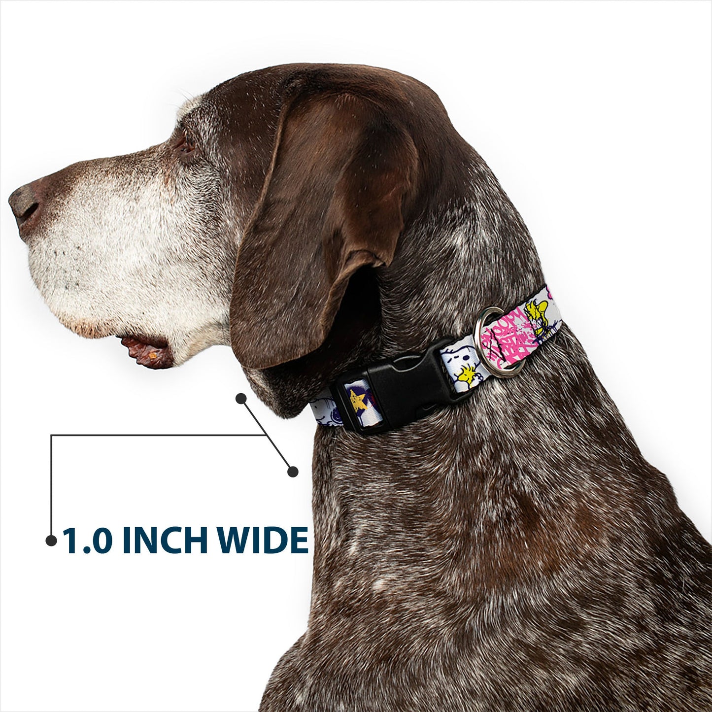 Plastic Clip Collar - Snoopy Woodstock Graffiti | The Peanuts Store