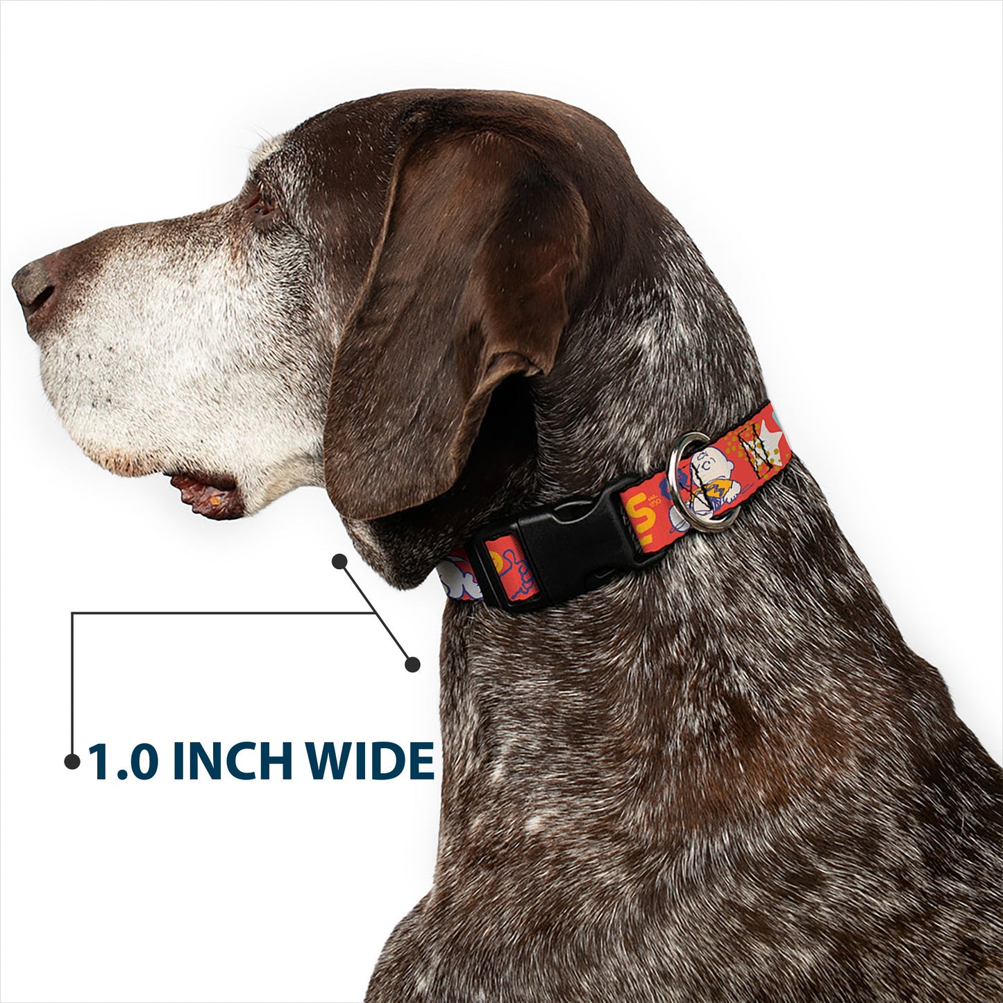 Plastic Clip Collar - Peanuts Gang SEMI-POSITIVE VIBES Quote Red/Blues/White