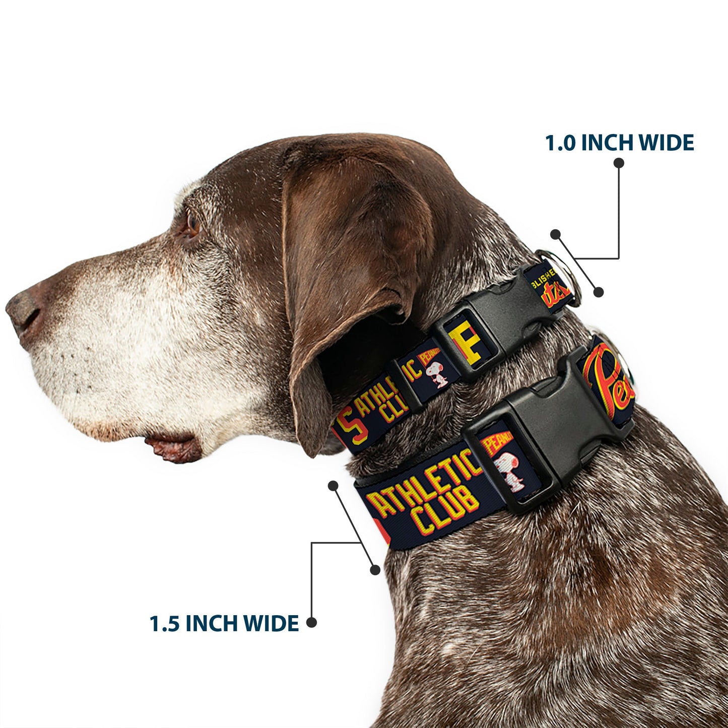 Dog Collar: PEANUTS ATHLETIC CLUB Collage from The Peanuts Store