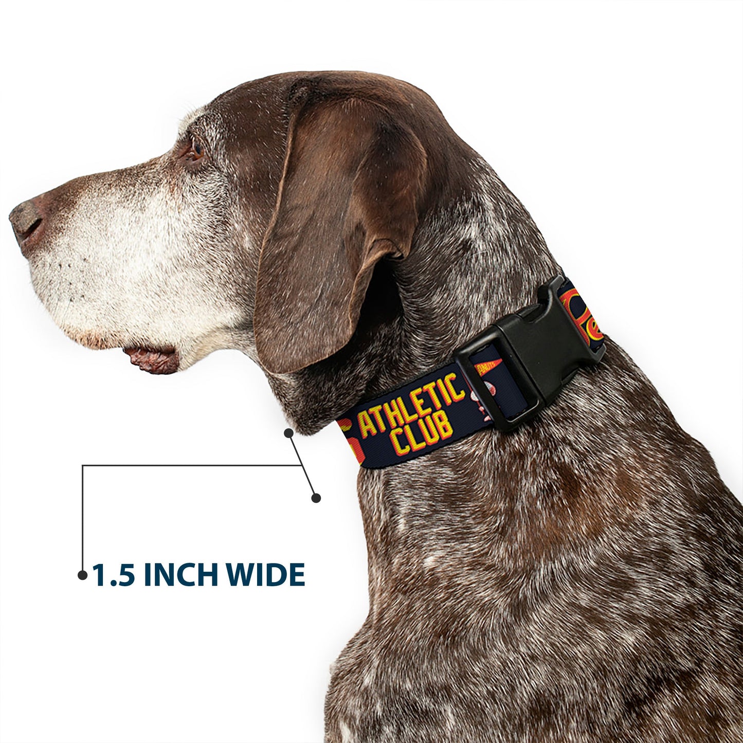 Dog Collar: PEANUTS ATHLETIC CLUB Collage from The Peanuts Store