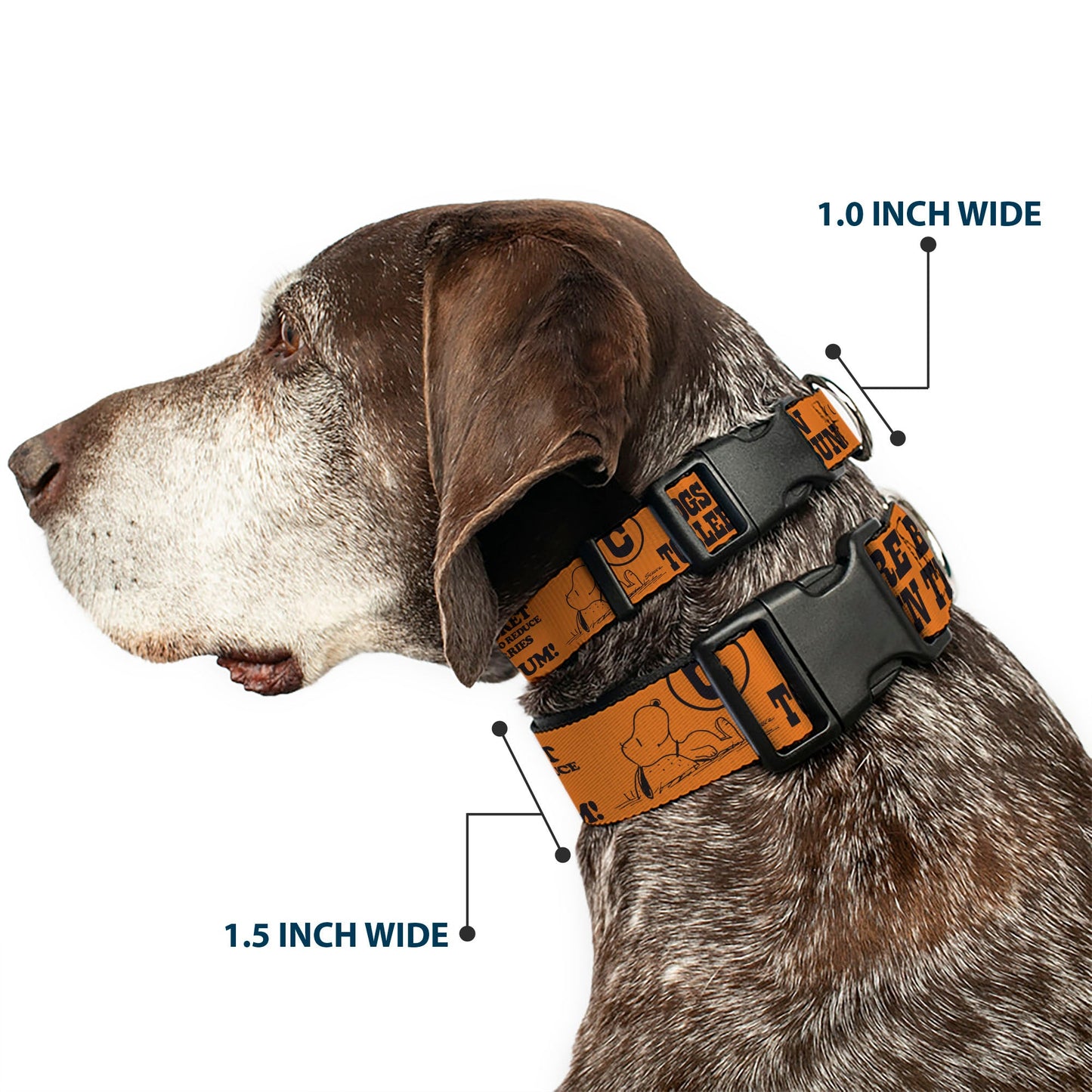 Snoopy Poses and Quotes Plastic Clip Dog Collar - Orange/Black