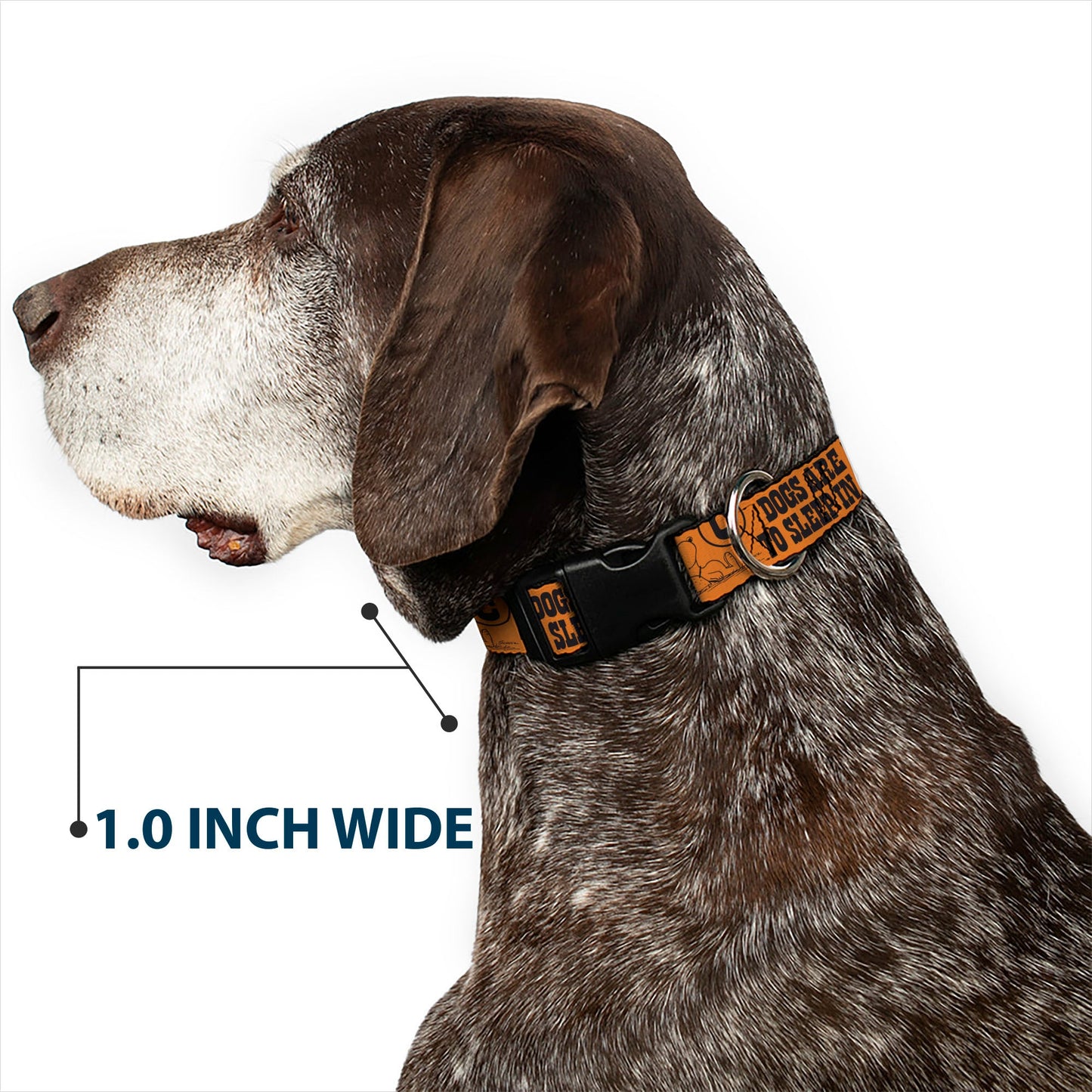 Snoopy Poses and Quotes Plastic Clip Dog Collar - Orange/Black