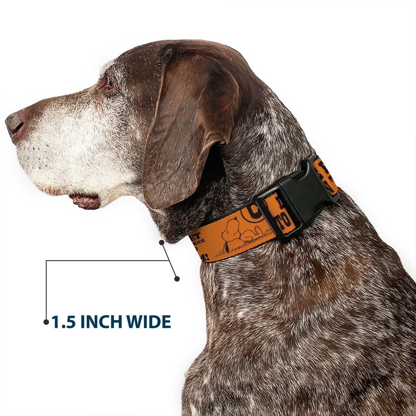Snoopy Poses and Quotes Plastic Clip Dog Collar - Orange/Black