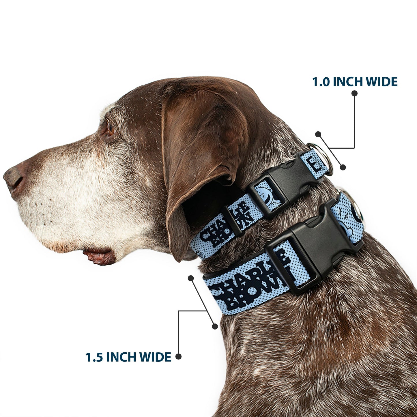 CHARLIE BROWN Poses Dog Collar - Light Blue/Black