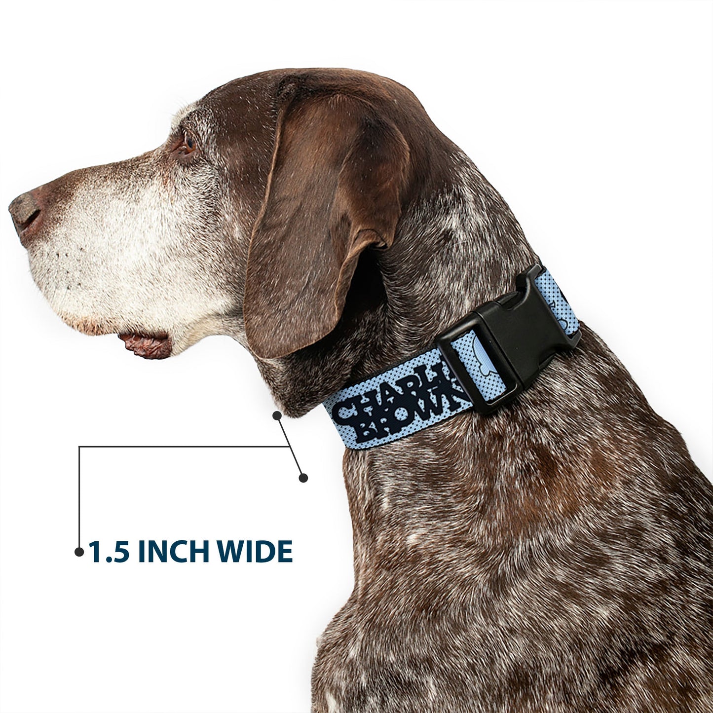 CHARLIE BROWN Poses Dog Collar - Light Blue/Black