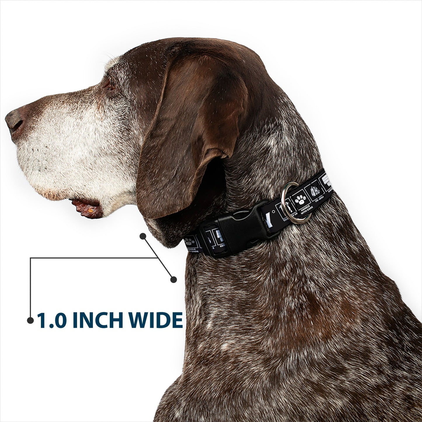 Snoopy Plastic Clip Dog Collar by The Peanuts Store