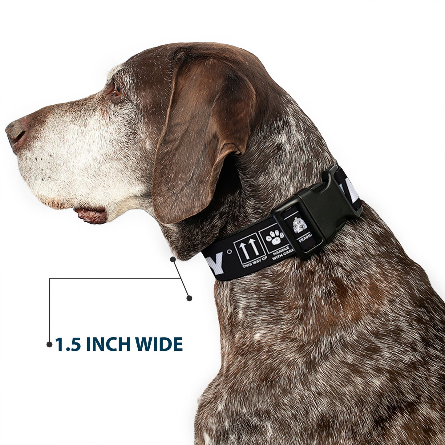 Snoopy Plastic Clip Dog Collar by The Peanuts Store