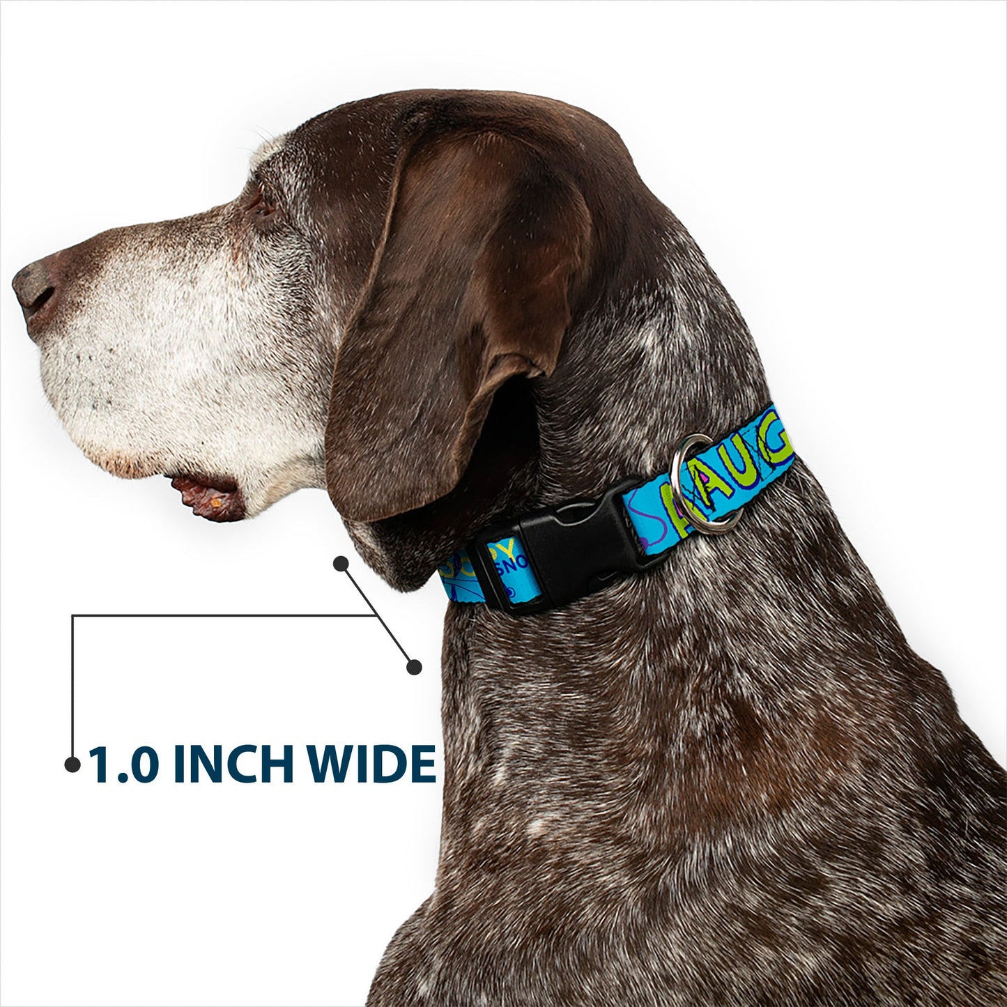 Plastic Clip Collar: Peanuts Charlie Brown Snoopy.