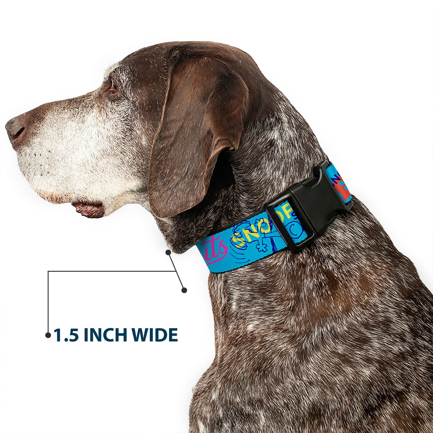 Plastic Clip Collar: Peanuts Charlie Brown Snoopy.